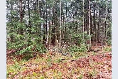 42 Cedar Drive #130 lot 11, Gilmanton, NH 03237 - Photo 16