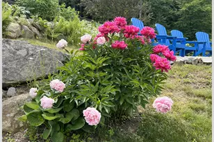 21 Quarry Rd, Campton, NH 03223 - Photo 44