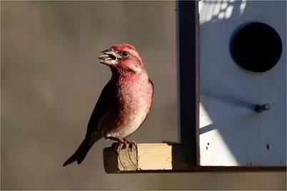 21 Quarry Road, Campton, NH 03223 - Photo 56