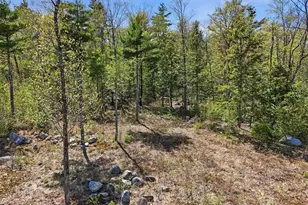 58-6-2 Duggin Rd, Wilton, NH 03086 - Photo 1