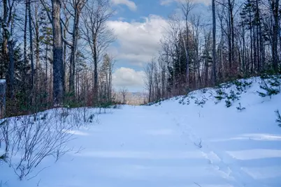 56 Lower Taylor Hill Road, Winhall, VT 05340 - Photo 10