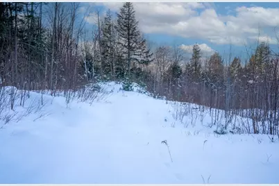 56 Lower Taylor Hill Road, Winhall, VT 05340 - Photo 8