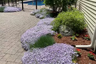 5 Thistle Ln, Hooksett, NH 03106 - Photo 60