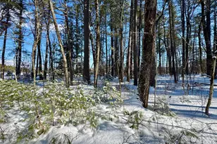 00 Swans Falls Rd, Fryeburg, ME 04037 - Photo 1