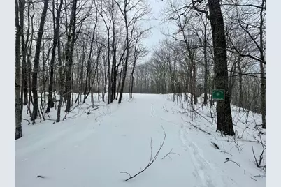 0 Earls Lane, Lempster, NH 03605 - Photo 4