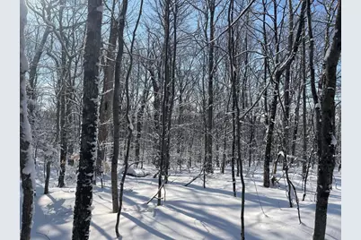 0 Earls Lane, Lempster, NH 03605 - Photo 8