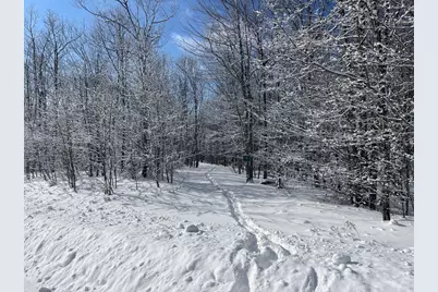 0 Earls Lane, Lempster, NH 03605 - Photo 6