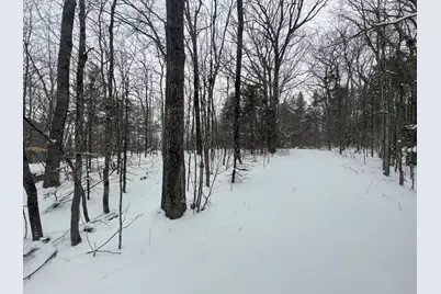 0 Earls Lane, Lempster, NH 03605 - Photo 8