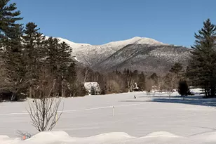 14 Tripyramid Way, Waterville Valley, NH 03215 - Photo 22