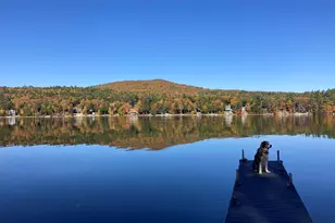 163 N Shore Rd, New Durham, NH 03855 - Photo 42