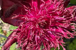 147 Ham Woods Rd, Alton, NH 03809 - Photo 60