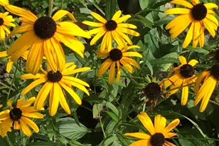 147 Ham Woods Rd, Alton, NH 03809 - Photo 54