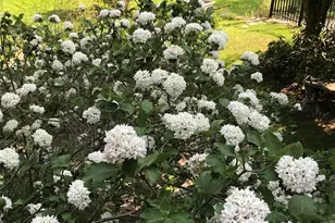 147 Ham Woods Rd, Alton, NH 03809 - Photo 52