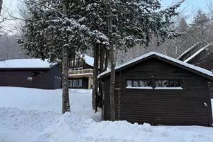 790 Millen Pond Rd, Washington, NH 03280 - Photo 2