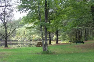 18-B Wildflower Ln, Plymouth, NH 03264 - Photo 56