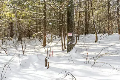 0-3 Kendall Hill Road #5-56-3, Mont Vernon, NH 03057 - Photo 8