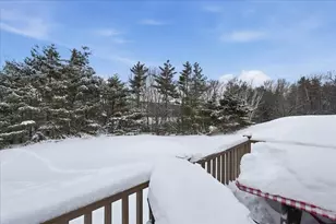 1B N Peak Village, Newbury, NH 03255 - Photo 48