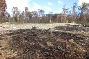 1-65-C Barrett Rd, Greenville, NH 03048 - Photo 1