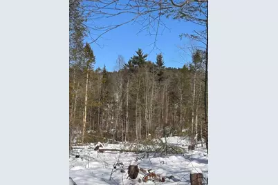 M409 L66-1 Old Turnpike Road, Richmond, NH 03470 - Photo 6