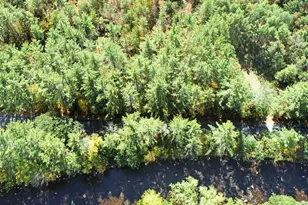 Lot 5 Whittier Rd, Tamworth, NH 03886 - Photo 14