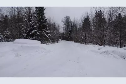 Spar Hawk Road, Wheelock, VT 05851 - Photo 6