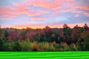 360 Jaffrey Rd, Marlborough, NH 03455 - Photo 58