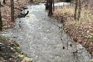 7 Wason Ln, Atkinson, NH 03811 - Photo 52