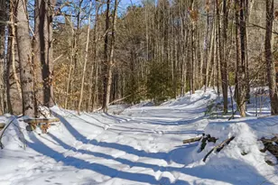 42 Rockland Rd, Weare, NH 03281 - Photo 36