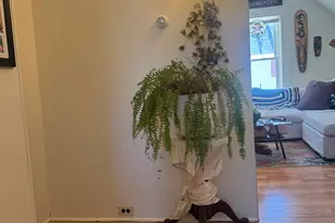 147 Hanover St, Lebanon, NH 03766 - Photo 8