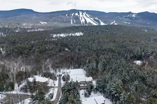 16 Purple Finch Rd, Conway, NH 03860 - Photo 30