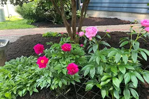 51 Farmington Rd, Nashua, NH 03060 - Photo 6