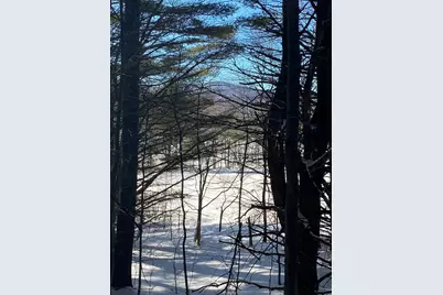 90 Vt Route 140, Tinmouth, VT 05773 - Photo 10