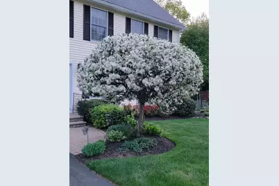 19 Alder Creek Lane, Rochester, NH 03868 - Photo 4