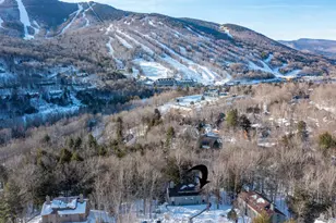 81 Clearbrook Rd, Lincoln, NH 03251 - Photo 48