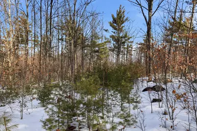 Taxmap 5B Lot97 Nh Route 114 #97, Henniker, NH 03242 - Photo 14