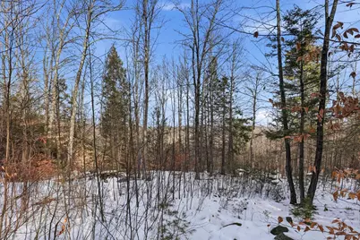 Taxmap 5B Lot97 Nh Route 114 #97, Henniker, NH 03242 - Photo 20