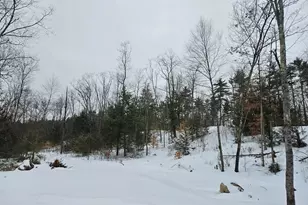 1 Whitetail Wy, Amherst, NH 03031 - Photo 1