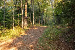 17 Landing Rd, Lincoln, NH 03251 - Photo 48