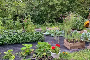 20 Fairgrounds Rd, Bradford, NH 03221 - Photo 24