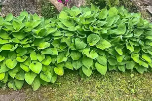 20 Fairgrounds Rd, Bradford, NH 03221 - Photo 26