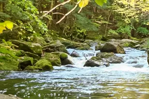 20 Fairgrounds Rd, Bradford, NH 03221 - Photo 28