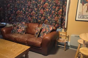 11 Haas Dr, Lincoln, NH 03251 - Photo 28