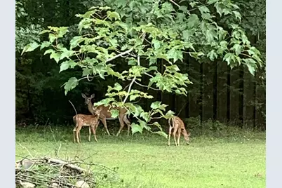 149 Golden Circle Drive, Farmington, NH 03835 - Photo 24