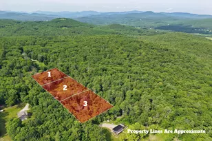 Texas Hill Rd, Plymouth, NH 03264 - Photo 1