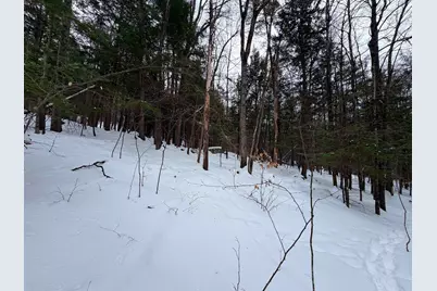 0 Town House Road, Cornish, NH 03745 - Photo 10