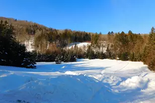 620 Bishop Brook Rd, Stewartstown, NH 03576 - Photo 16