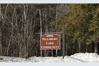 110 New Hampshire Drive, Webster, NH 03303 - Photo 2