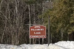 110 New Hampshire Dr, Webster, NH 03303 - Photo 2