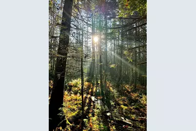 1660 Town Line Road, Craftsbury, VT 05827 - Photo 50