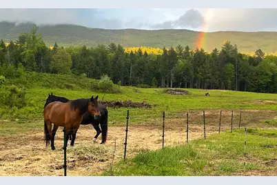 139 Turner Road, Wentworth, NH 03282 - Photo 36